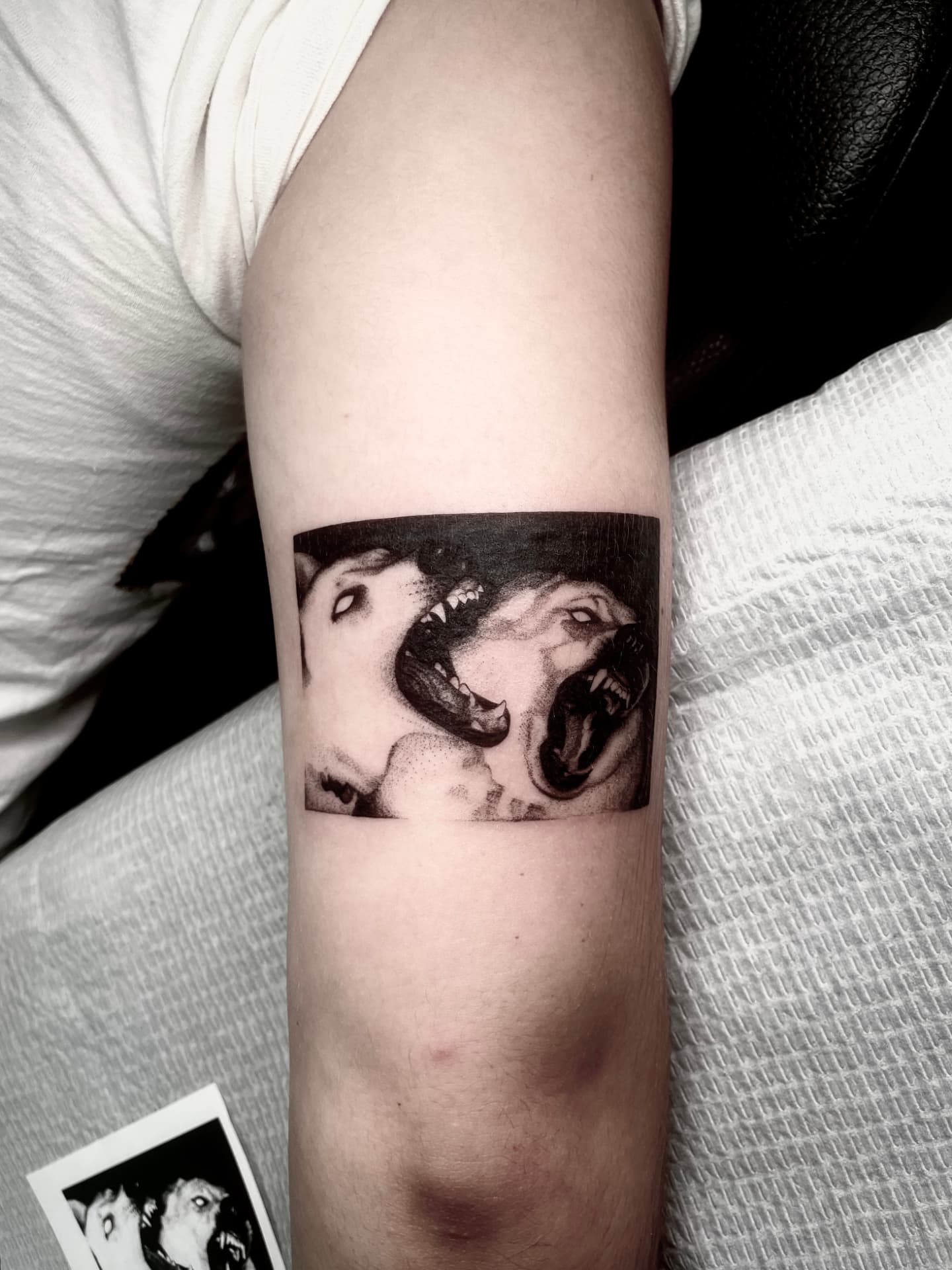 Jade D'Errico tattoo work 11