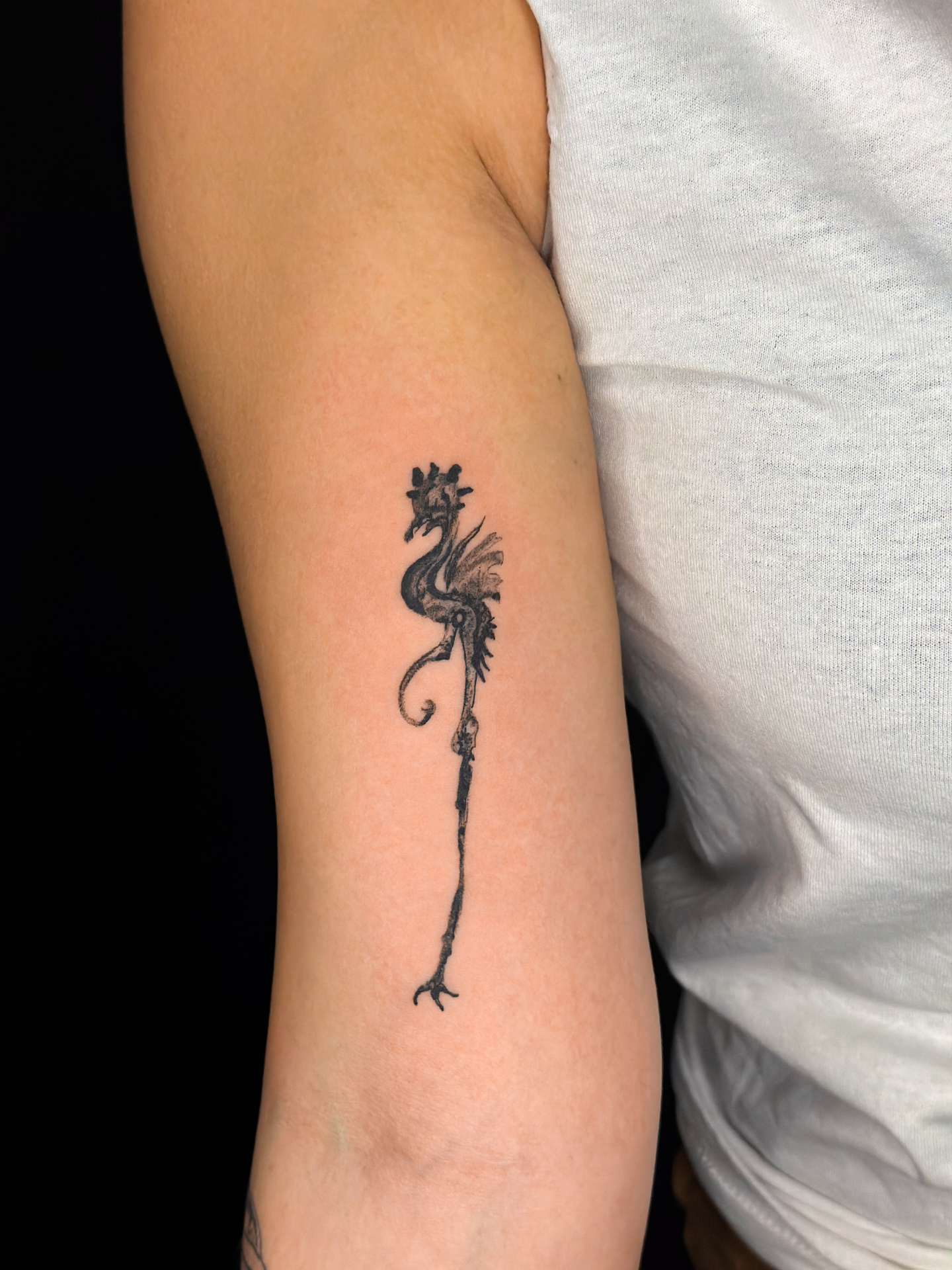 Greyson Ferrandino tattoo work 10